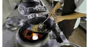 02.gif 02.gif